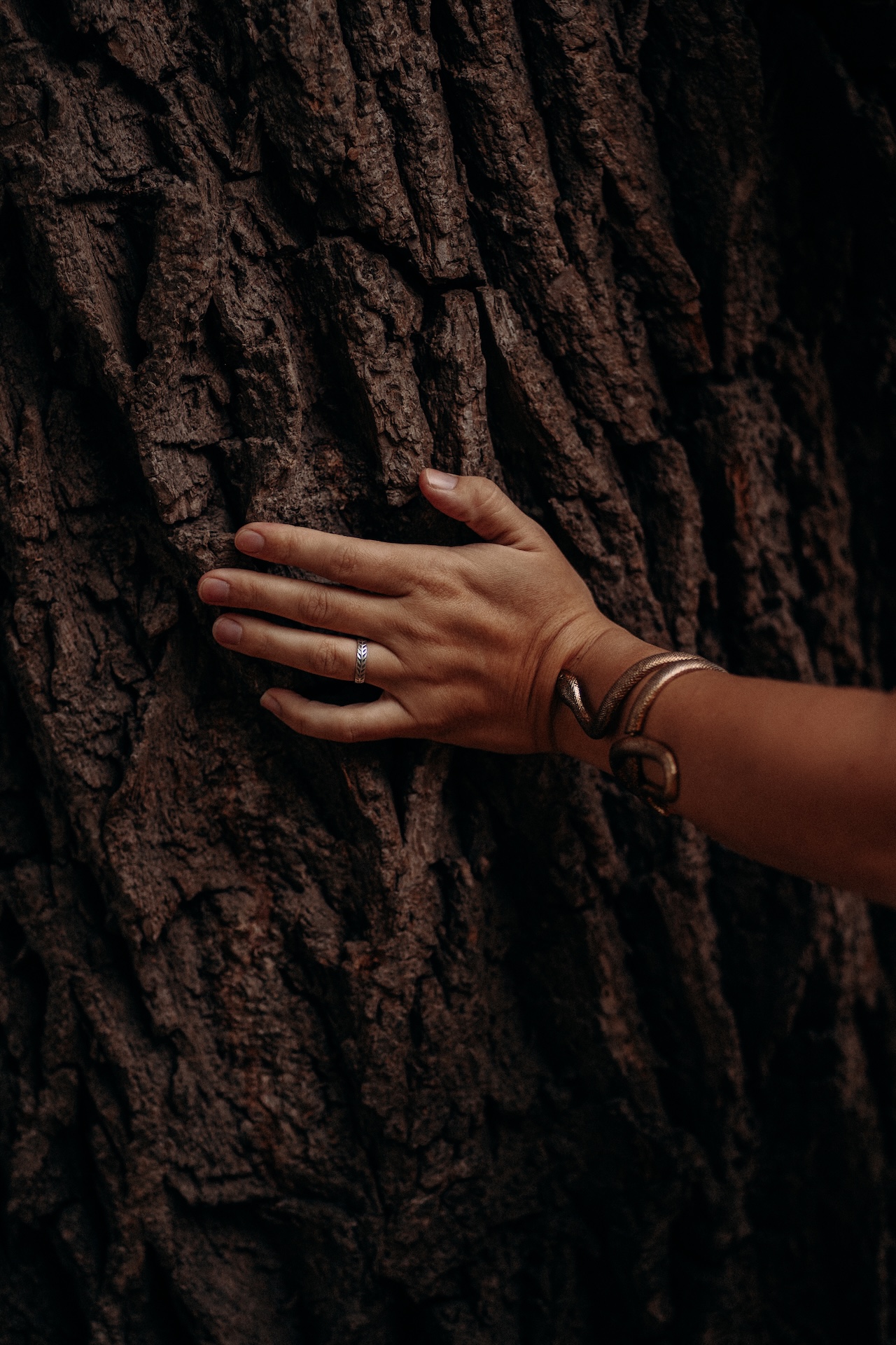 A hand resting against deep tree bark